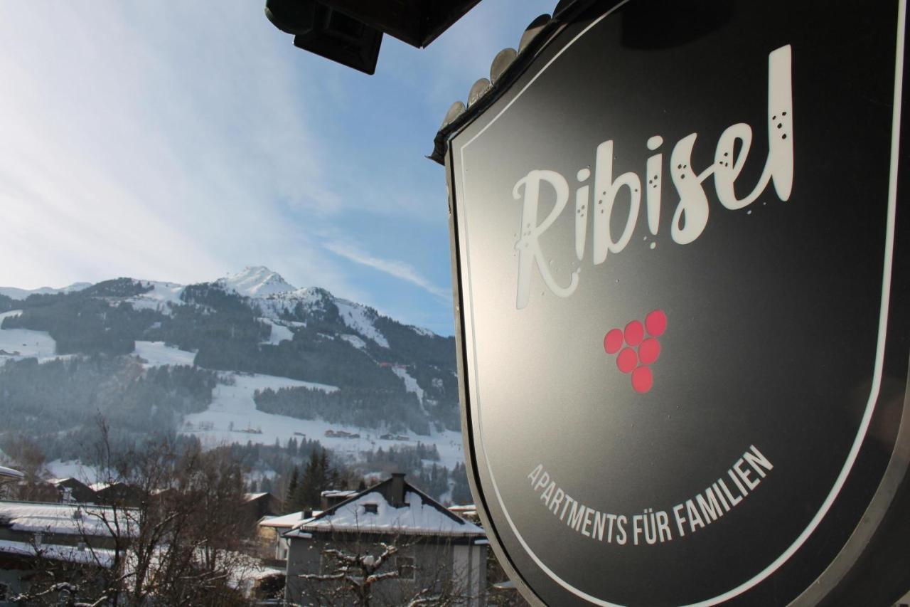 Ribisel Apartments Fuer Familien - Alpentherme Inklusive! Бад Хофгащайн Екстериор снимка